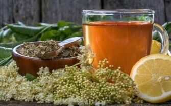 Ako sa zbaviť parazitov v tele s ľudovými prostriedkami