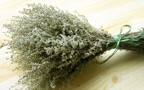 Wormwood na odstránenie parazitov z tela