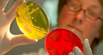 diagnostika parazitov v tele