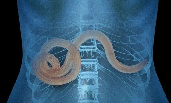 parazita v ľudskom tele